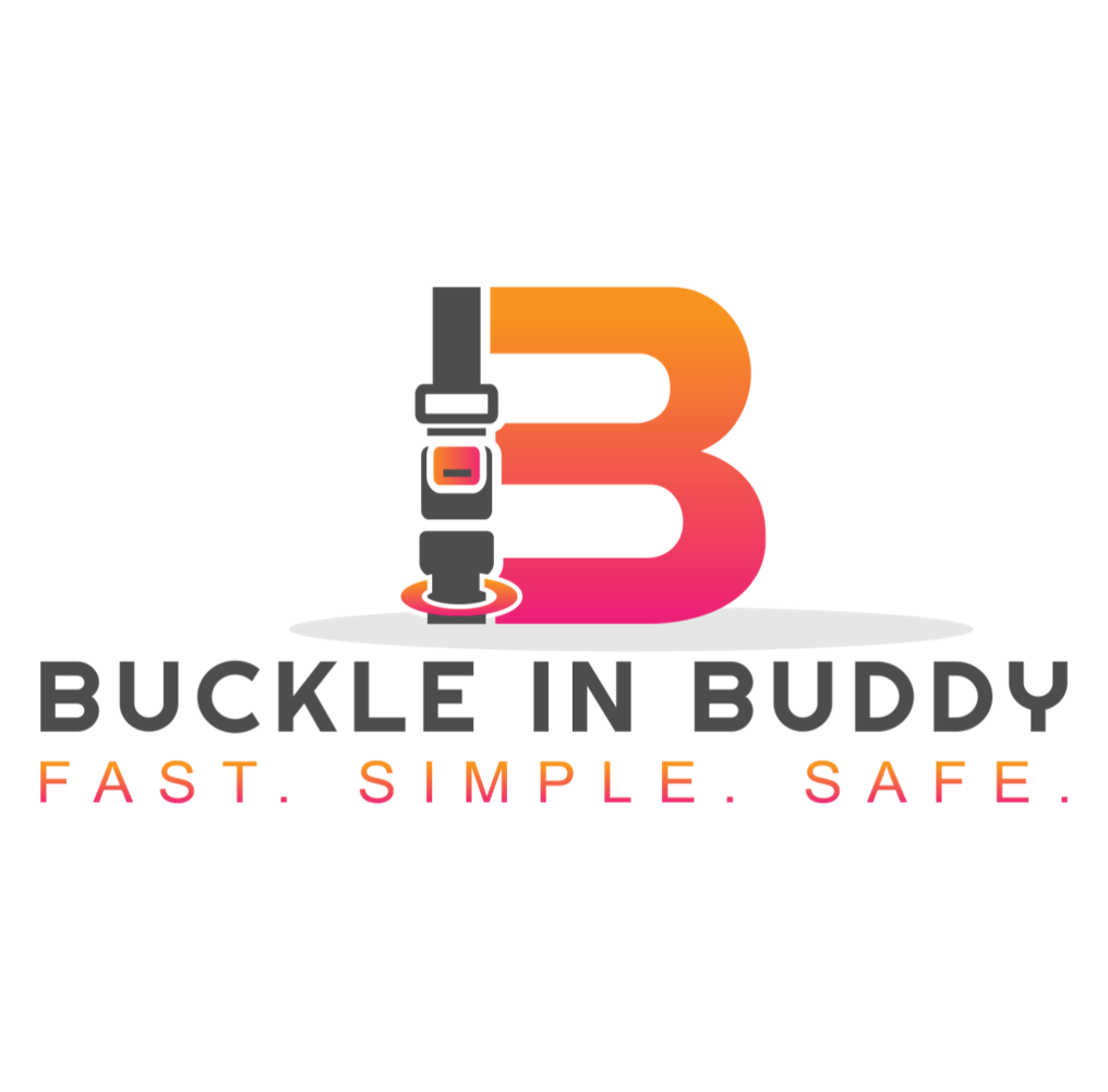 Buckle In Buddy Child Car Seat System
